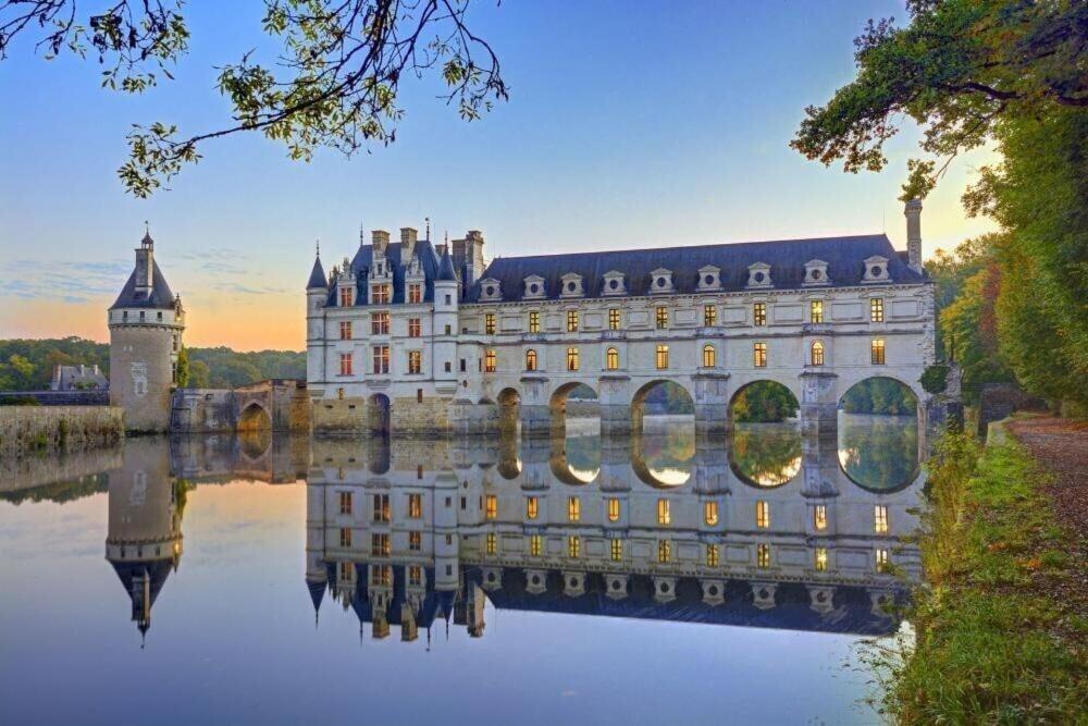 Au Paradis De Sologne Romorantin-Lanthenay Zimmer foto